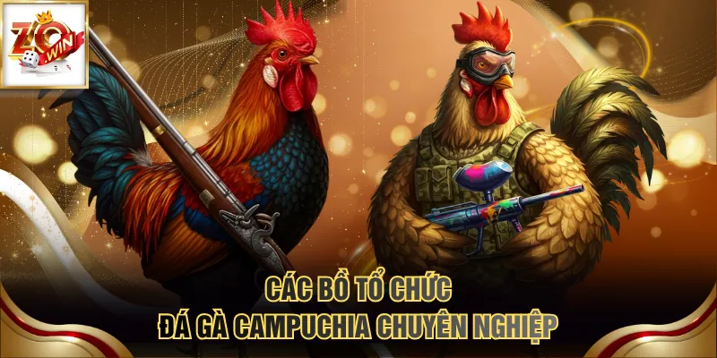 Các bồ tổ chức đá gà Campuchia chuyên nghiệp