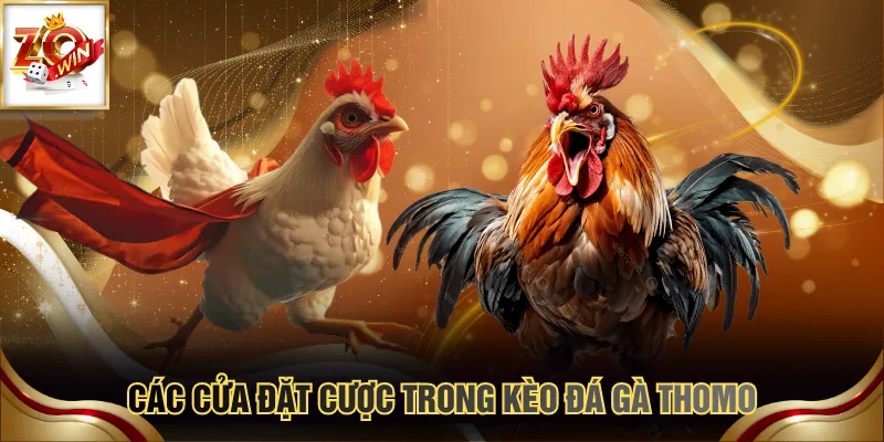 Các cửa đặt cược trong kèo đá gà Thomo
