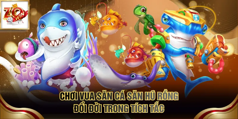 Chơi Vua Săn Cá săn hũ rồng đổi đời trong tích tắc
