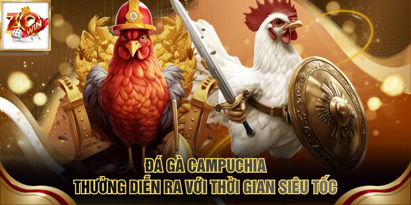 Đá gà Campuchia thường diễn ra với thời gian siêu tốc