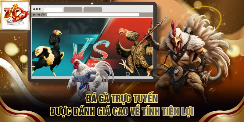 Đá gà trực tuyến được đánh giá cao về tính tiện lợi