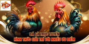 Đá gà trực tuyến