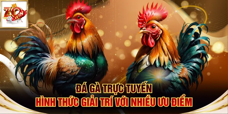 Đá gà trực tuyến
