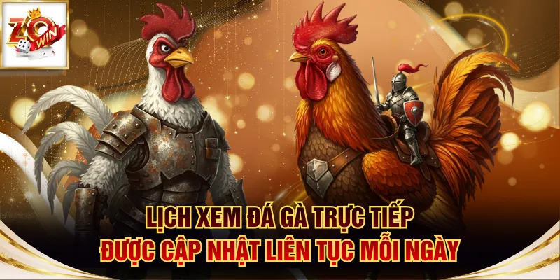 Xem đá gà trực tiếp