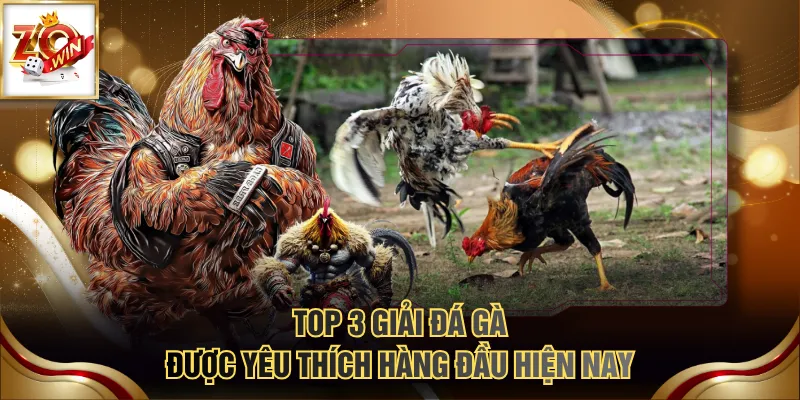 Top 3 giải đá gà được yêu thích hàng đầu hiện nay
